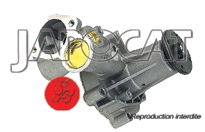 POMPE &agrave; EAU G&eacute;n&eacute;rique