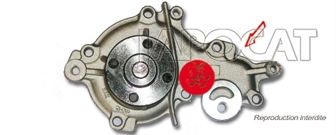 POMPE &agrave; EAU G&eacute;n&eacute;rique