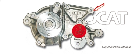 POMPE &agrave; EAU G&eacute;n&eacute;rique