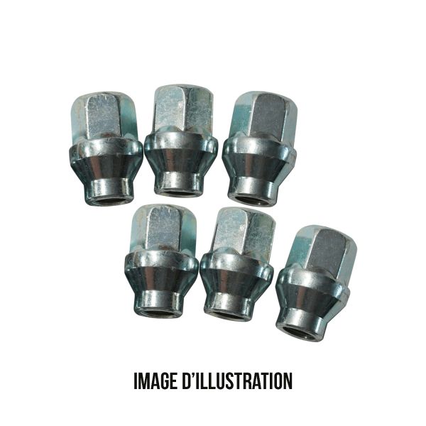 KIT VISSERIE 14X1.5 CHROME (POUR UNE JANTE)